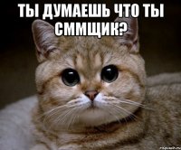 ТЫ ДУМАЕШЬ ЧТО ТЫ СММЩИК? 