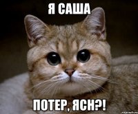 Я САША ПОТЕР, ЯСН?!