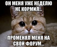 Он меня уже неделю не кормил... Променял меня на свой форум...