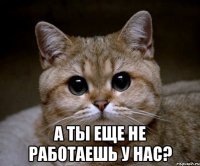  А ты еще не работаешь у нас?