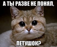 А ты разве не понял, петушок?