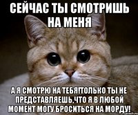 Сейчас ты смотришь на меня А я смотрю на тебя!Только ты не представляешь,что я в любой момент могу броситься на морду!