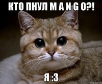 Кто пнул M A N G O?! Я :3