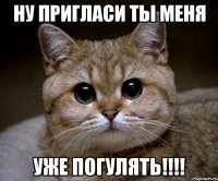 ну пригласи ты меня Уже погулять!!!!