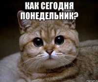 Как сегодня понедельник? 