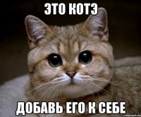 Это котэ добавь его к себе