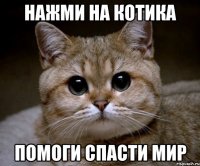 Нажми на котика Помоги спасти мир