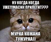 ну когда когда уже!!!масик прилетит??? мурка кожана тужурка))