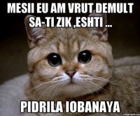 Mesii eu am vrut demult sa-ti zik ,eshti ... pidrila iobanaya