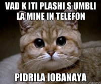 vad k iti plashi s umbli la mine in telefon pidrila iobanaya