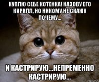 Куплю себе котенка! Назову его Кирилл, но никому не скажу почему... И кастрирую...Непременно кастрирую...