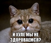  и хуле мы не 3дороваемся?