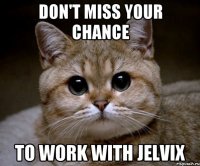 don't miss your chance to work with Jelvix