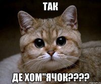 Так Де хом"ячок????