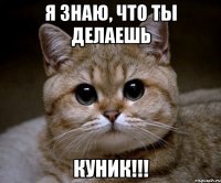 Я знаю, что ты делаешь КУНИК!!!