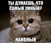 ты думаешь, что самый умный? наивный