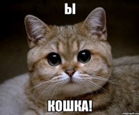 ы кошка!