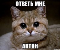 ОТВЕТЬ МНЕ АНТОН