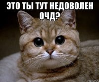 Это ты тут недоволен ОЧД? 