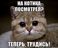 на котика посмотрел? теперь, трудись!