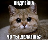 андрейка чо ты делаешь?