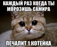 каждый раз когда ты морозишь Самира печалит 1 котейка