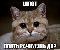 Шпот опять рачкуєшь да?