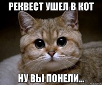 Реквест ушел в КОТ Ну вы понели...