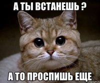 А ТЫ ВСТАНЕШЬ ? а то проспишь еще