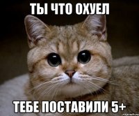 ТЫ ЧТО ОХУЕЛ ТЕБЕ ПОСТАВИЛИ 5+