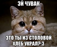 ЭЙ ЧУВАК ЭТО ТЫ ИЗ СТОЛОВОЙ ХЛЕБ УКРАЛ?:3