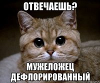 Отвечаешь? Мужеложец дефлорированный