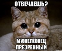 Отвечаешь? Мужеложец презренный