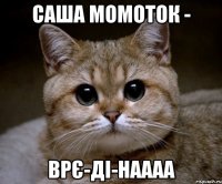 Саша Момоток - врє-ді-наааа