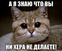 а я знаю что вы ни хера не делаете!