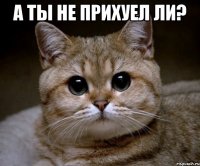 А ты не прихуел ли? 