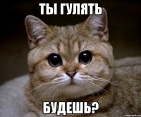 Ты гулять Будешь?