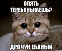 Опять теребонькаешь? Дрочун ебаный