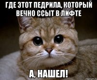 Где этот педрила, который вечно ссыт в лифте А, нашел!