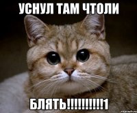 уснул там чтоли Блять!!!!!!!!!!1