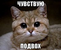 чувствую подвох