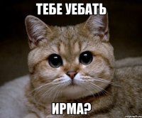 ТЕБЕ УЕБАТЬ ИРМА?