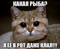 какая рыба? я ее в рот даже клал!!!