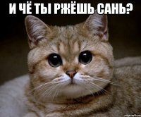 и чё ты ржёшь Сань? 