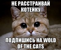 Не расстраивай котейку подпишись на wold of the cats