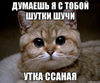 думаешь я с тобой шутки шучи утка ссаная