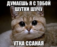 думаешь я с тобой шутки шучу утка ссаная