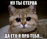 ну ты Стерва Да ето я про тебя....