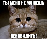 Ты меня не можешь ненавидить!