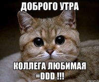 Доброго Утра коллега любимая =DDD !!!